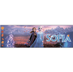 Banner de lona Frozen Pers.